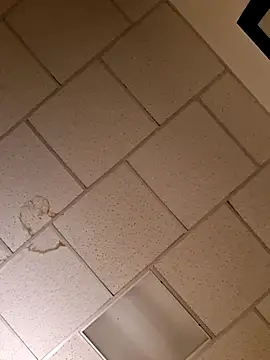 curiouscock38 online show from 11.20.25