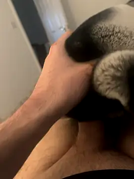 Furdale online show from 12.03.24