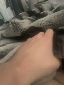 Furdale online show from 12.04.24