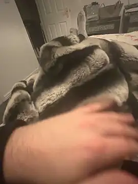 Furdale online show from 12.07.24