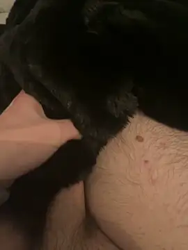 Furdale online show from 12.10.24