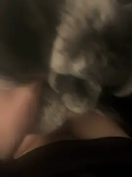 Furdale online show from 12.17.24