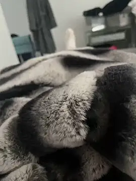 Furdale online show from 12.18.24