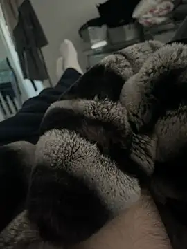 Furdale online show from 12.18.24