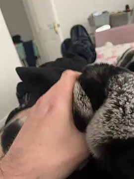 Furdale online show from 12.19.24