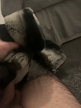 Furdale online show from 01.07.25