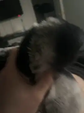 Furdale online show from 01.14.25