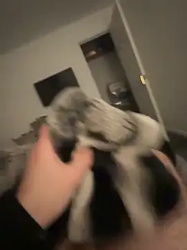 Furdale online show from 01.17.25