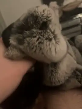 Furdale online show from 01.24.25