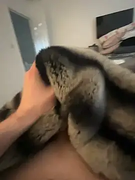 Furdale online show from 02.08.25