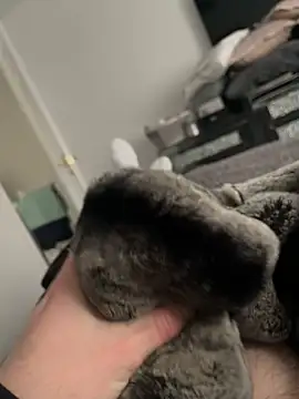 Furdale online show from 02.10.25