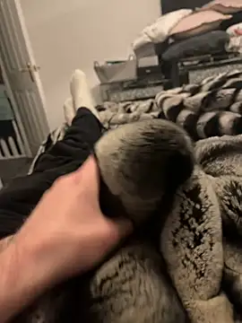 Furdale online show from 02.11.25