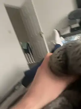 Furdale online show from 02.15.25