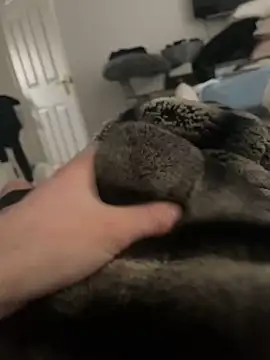 Furdale online show from 02.16.25