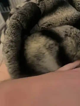 Furdale online show from 02.17.25