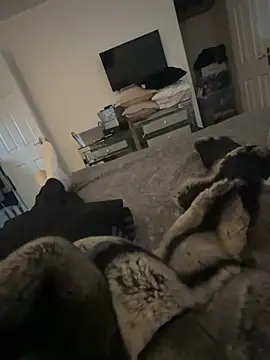 Furdale online show from 02.26.25