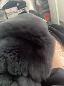 Furdale online show from 03.14.25