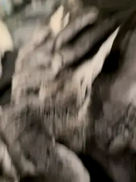 Furdale online show from 10.31.25