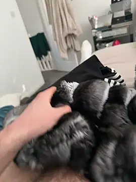 Furdale online show from 03.07.26