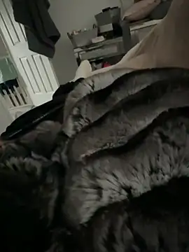 Furdale online show from 03.09.26