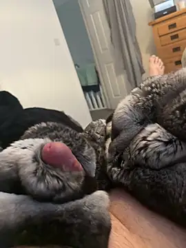 Furdale online show from 04.01.26