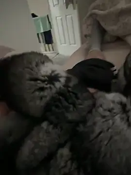 Furdale online show from 04.09.26