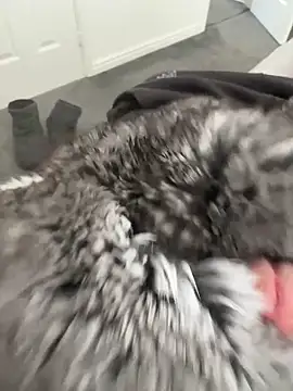 Furdale online show from 04.16.26