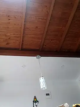 shelby kutter online show from 03.02.25