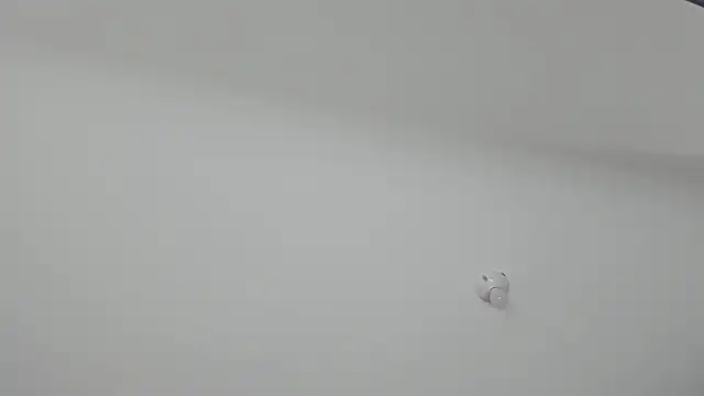 ms pickless online show from 01.30.25