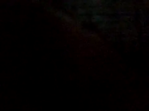 rodovlaz online show from 01.07.26