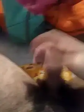 jon763 online show from 01.10.25