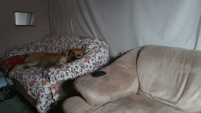 xykenrah48 online show from 03.18.26