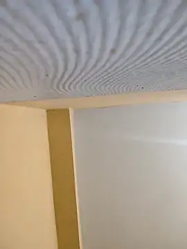 sanjib-1234 online show from 09.24.25