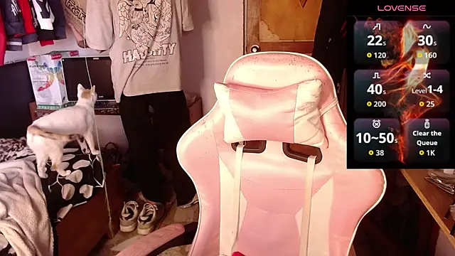 Apolo S online show from 02.26.26