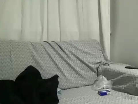 ALPHANDRE online show from 02.21.25