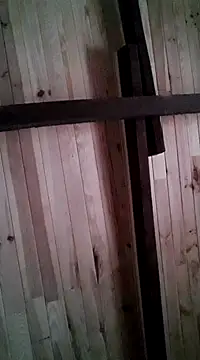 davigochi77bcn online show from 03.06.25