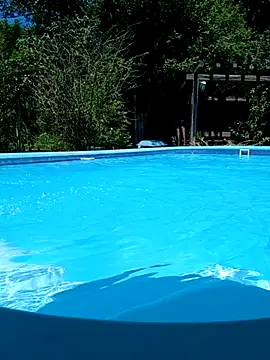 dutra498 online show from 02.11.26