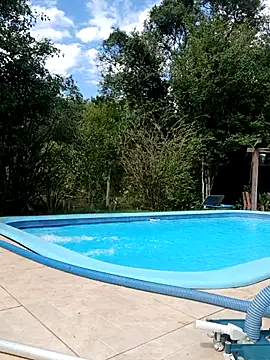 dutra498 online show from 04.06.26