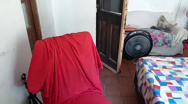 Snapshot of deftoolceles chatting on 12.08.24 deftoolceles online show from 12.08.24