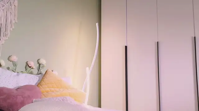 Snapshot of Rinas_secret chatting on 10.01.25 Rinas secret online show from 10.01.25