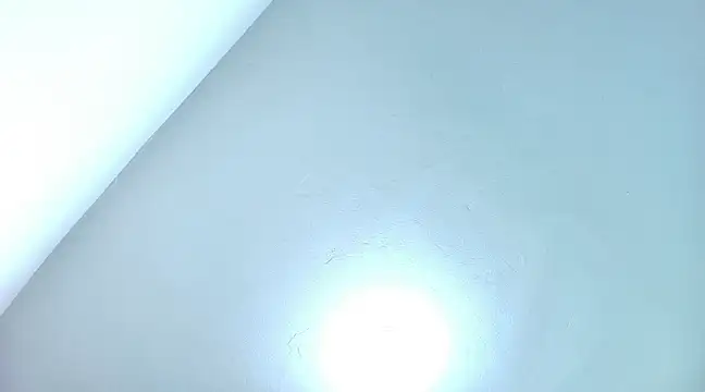 Snapshot of sophiax-x chatting on 12.13.24 sophiax-x online show from 12.13.24