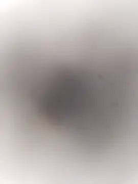 Pitercom online show from 09.20.25