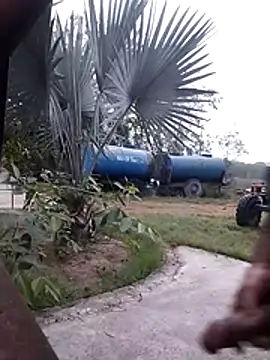 Pitercom online show from 04.04.26