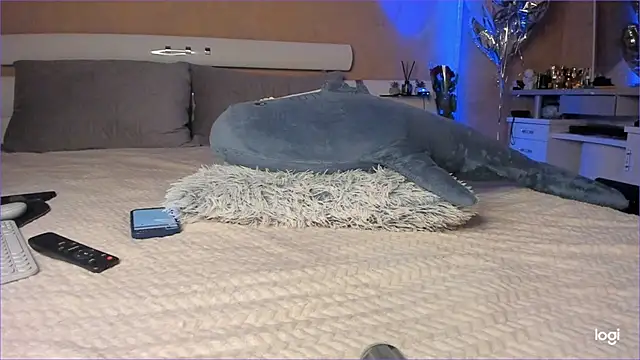 Snapshot of Diamond_D_ chatting on 10.16.25 Diamond D online show from 10.16.25