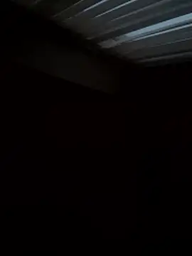 Flossy Vettie online show from 11.25.25