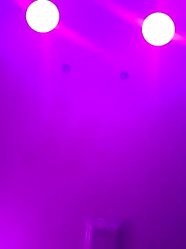 Snapshot of ScarletCallings420 chatting on 02.24.25 ScarletCallings420 online show from 02.24.25