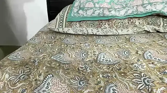 Snapshot of Greekartsguru chatting on 12.29.24 Greekartsguru online show from 12.29.24