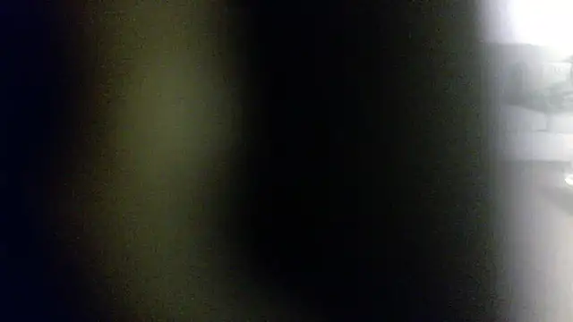 Snapshot of palidin1 chatting on 02.01.26 palidin1 online show from 02.01.26