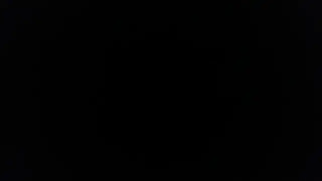 Snapshot of palidin1 chatting on 02.09.26 palidin1 online show from 02.09.26