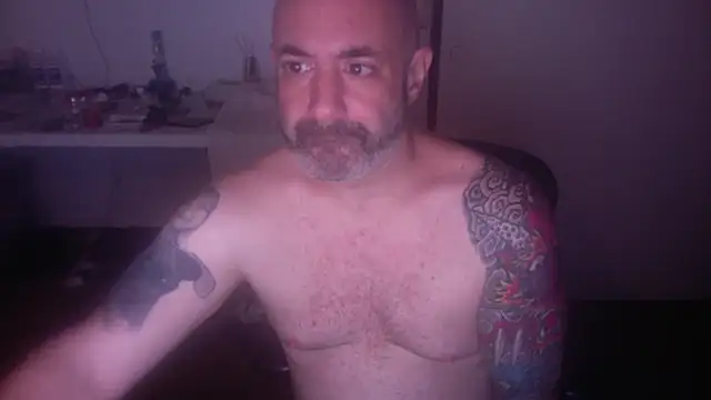 palidin1 online show from 07.06.26
